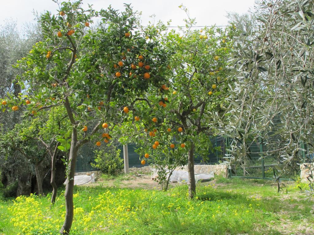 Tenuta Santa Maria Mattinata Cameră foto